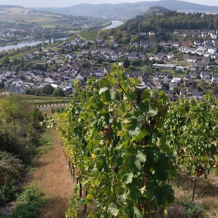 FeWo Freis in Brauneberg Exterior foto