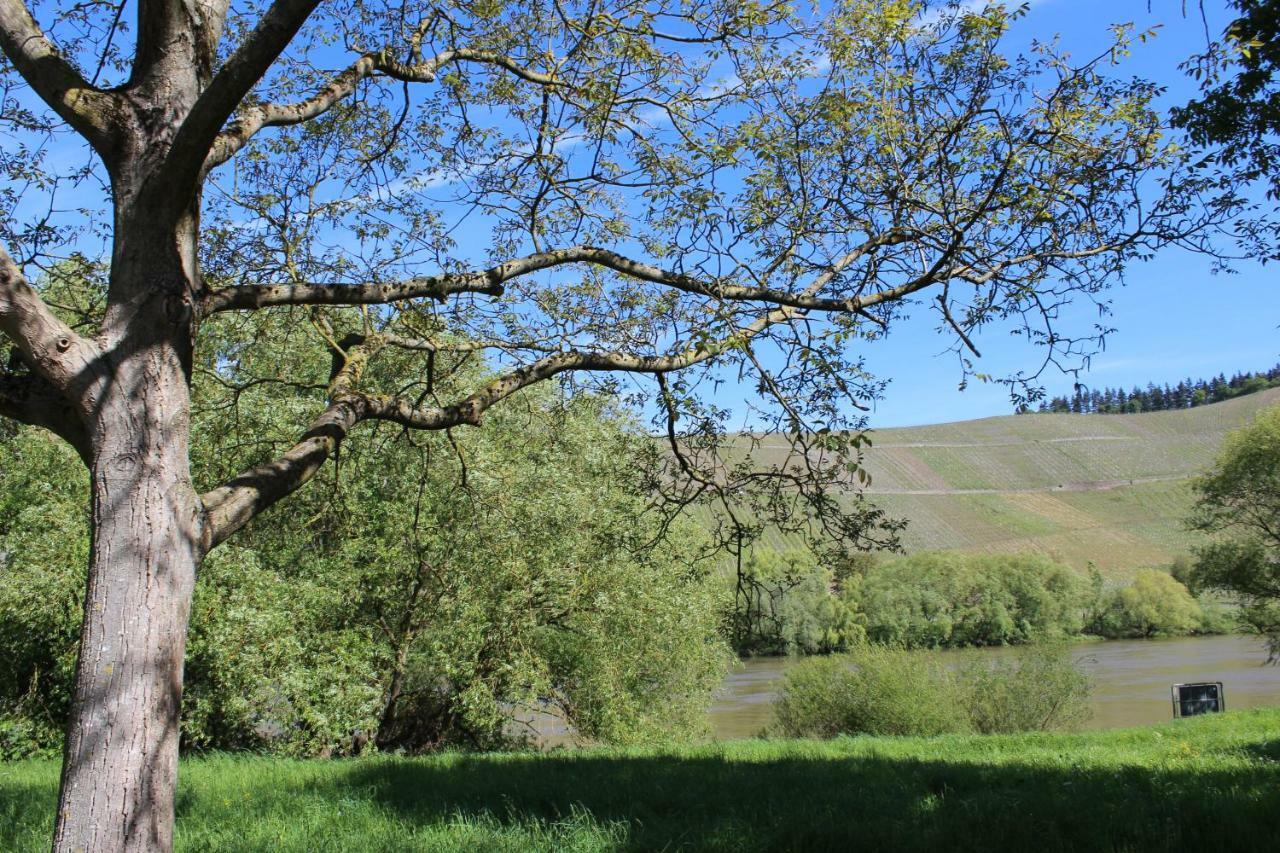 FeWo Freis in Brauneberg Exterior foto