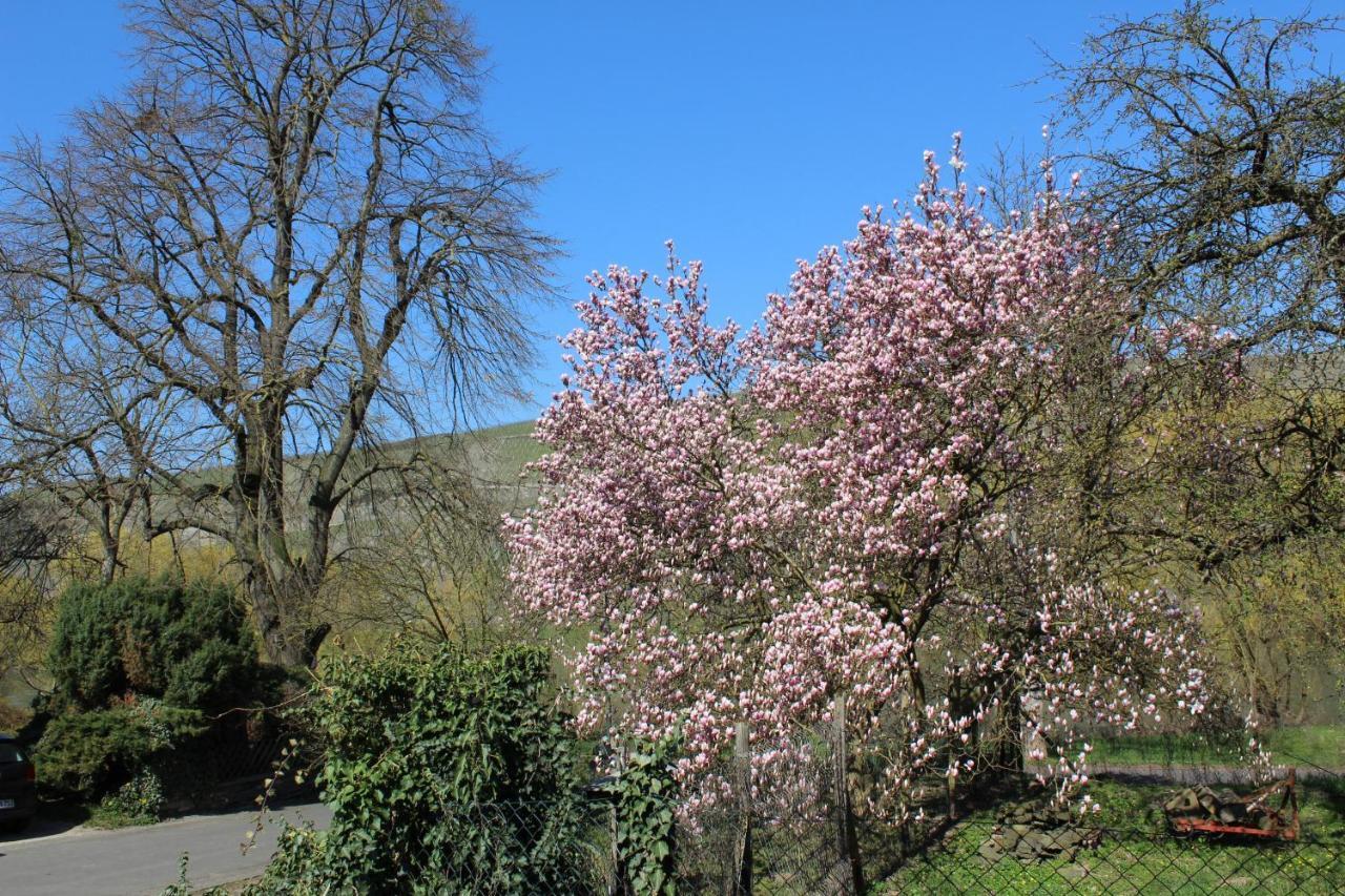 FeWo Freis in Brauneberg Exterior foto