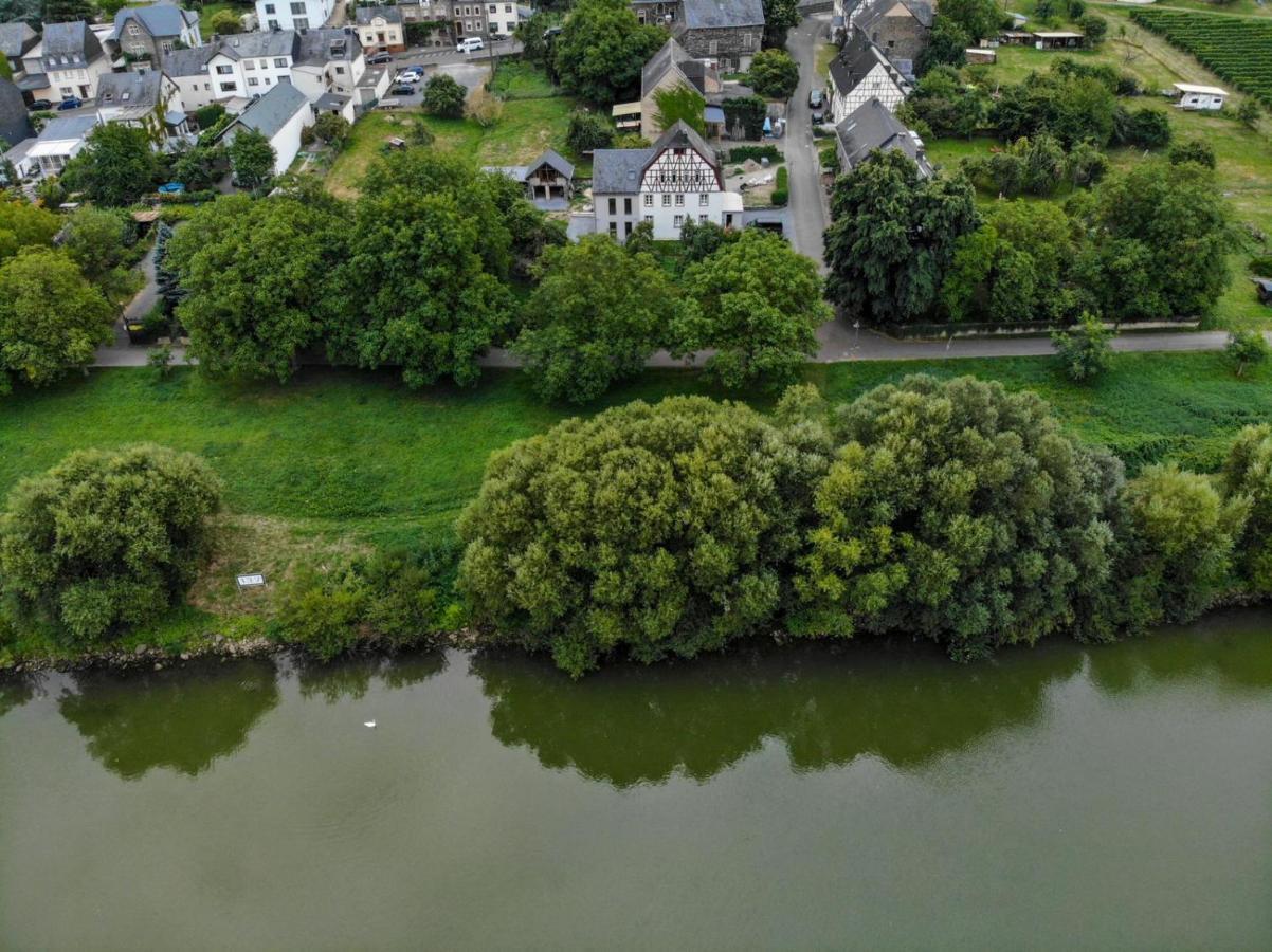 FeWo Freis in Brauneberg Exterior foto